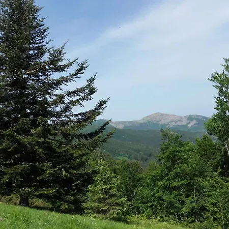 Monolocale Il Capriolo -