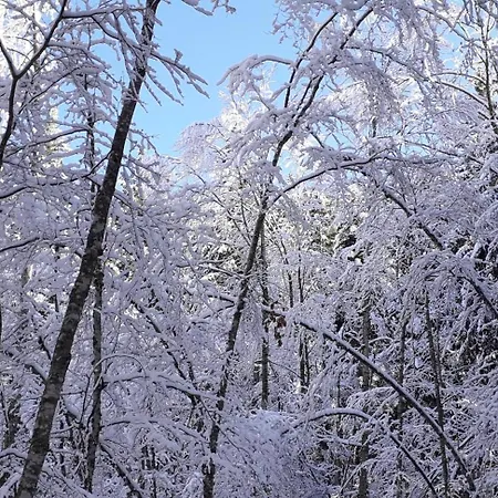 Monolocale Il Capriolo - *