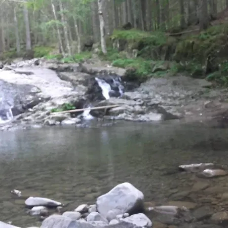 Apartment Monolocale Il Capriolo - *