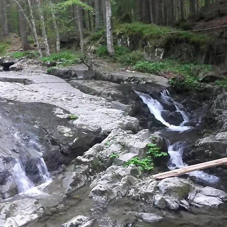 Apartment Monolocale Il Capriolo - *