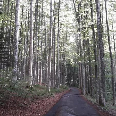 Monolocale Il Capriolo - Abetone