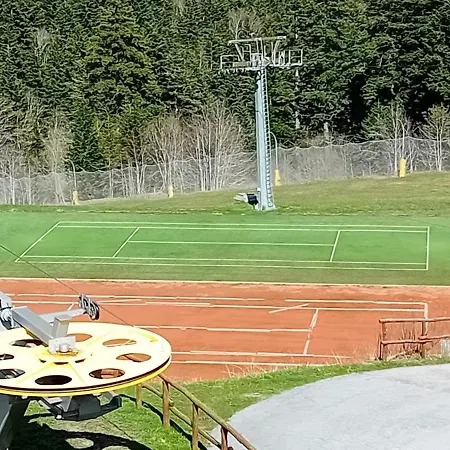 Monolocale Il Capriolo - Διαμέρισμα *